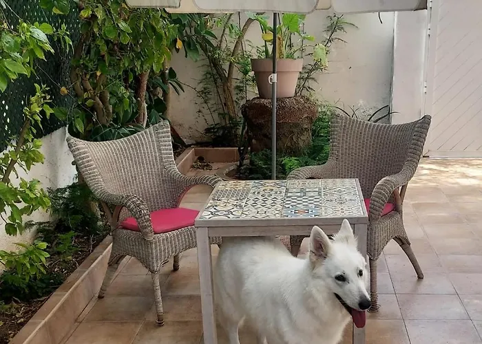 Casa La Mar 마레니 블라우